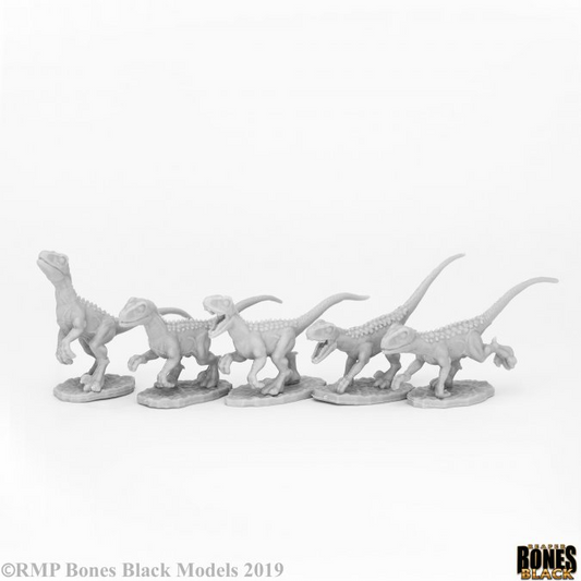 Reaper Bones Black: Raptor Hunting Pack (5)