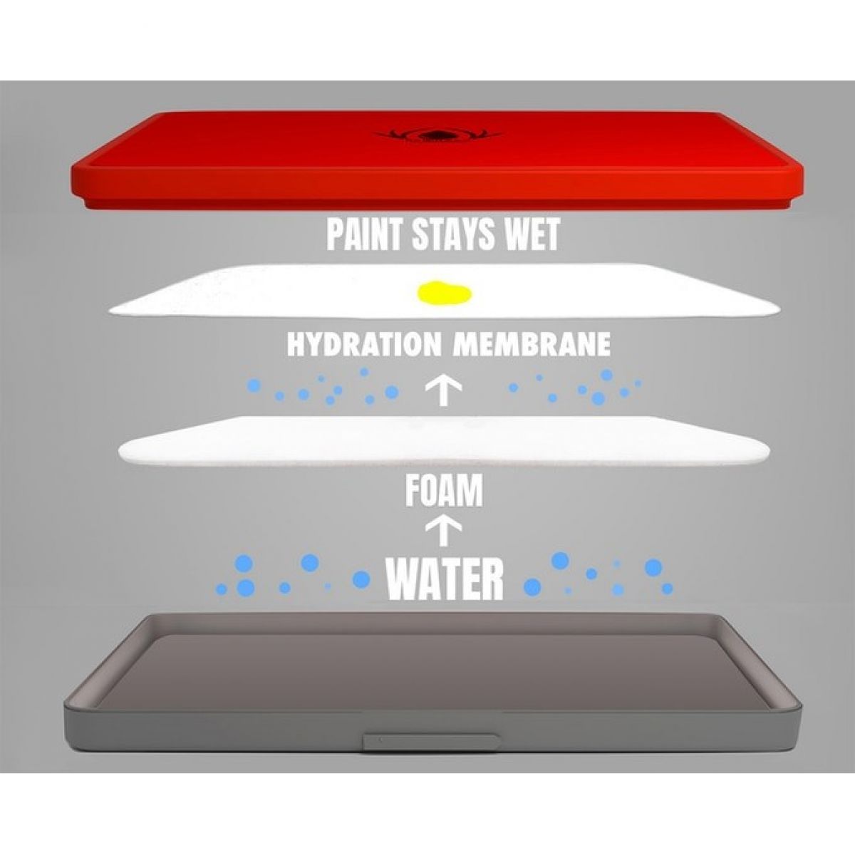 Redgrass - Everlasting Wet Palette - Studio V2 -